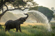 © Faizan - An elephant joyfully sprays water from its trunk by a lush green pond under natural sunlight.