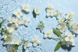 Beautiful jasmine flowers in water on light blue background, flat lay