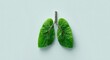 © Jannik - A green leaf in the shape of lungs on a white background. World No Smoking Day concept