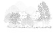 © feipco - Architectural Drawings, Minimal style cad tree line drawing, Side view, set of section wetland forest outline for landscape design drawing. Vector illustration in separate element