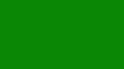 arrow cursor animation on green screen background, animated clicking cursor suitable for motion graphic computer access, pressing website application buttons