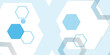 © Nurulqamariyahelroma - Abstract blue hexagon banner background.