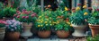 © Sona - Colorful potted flowers in a garden with lush greenery and brick elements. Bright flowers and healthy plants. Garden decoration and floral display in a home or outdoor setting.