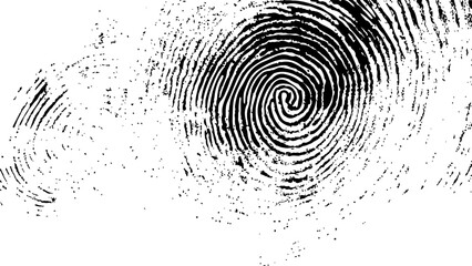 Wall Mural - vector white and black fingerprint texture. black fingerprint on white transparent background.