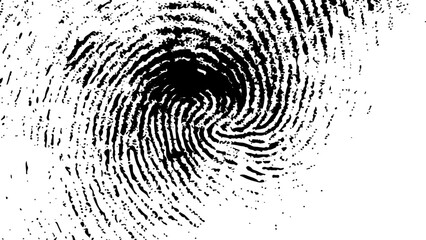 Wall Mural - vector white and black fingerprint texture. black fingerprint on white transparent background.