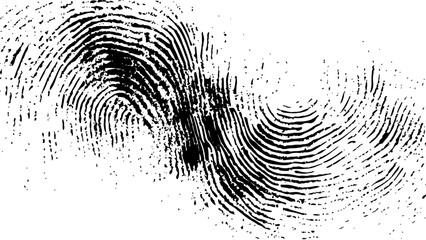 Wall Mural - vector white and black fingerprint texture. black fingerprint on white transparent background.