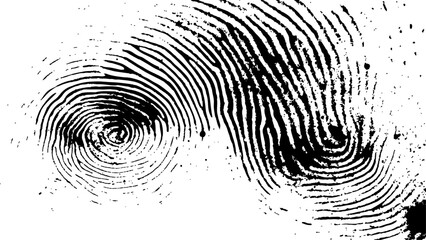 Wall Mural - vector white and black fingerprint texture. black fingerprint on white transparent background.