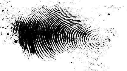 Wall Mural - vector white and black fingerprint texture. black fingerprint on white transparent background.