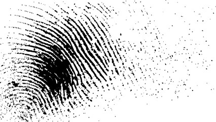 Wall Mural - vector white and black fingerprint texture. black fingerprint on white transparent background.