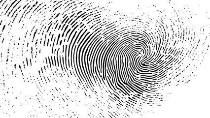 Wall Mural - vector white and black fingerprint texture. black fingerprint on white transparent background.