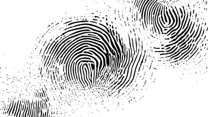 Wall Mural - vector white and black fingerprint texture. black fingerprint on white transparent background.