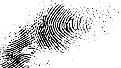 Wall Mural - vector white and black fingerprint texture. black fingerprint on white transparent background.