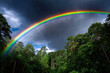 © YouraPechkin - Colorful rainbow arcs over lush green forest during a dramatic weather change in the afternoon