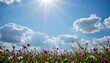 © อารียา วงษ์พัฒน์ - a serene summer scene under a blue sky with white clouds, the main subject is positioned at the bottom under morning radiance, leaving ample copy space at the top for text overlays.