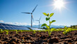© ArtifyGraphy - Renewable energy initiative sustainable farm photography outdoor close-up green technology