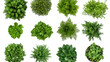 © Muhammad - top view set of various green plants types on white background