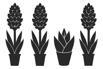 set of Hyacinth vector silhouette illustration isolated on white background