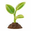 © Boonsub - 3D render of a green sprout with two leaves growing from brown soil, isolated on transparent background