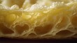 © Hakimul Islam Sorol - A close up view of the inside of a croissant showing the layers and air pockets within the pastry