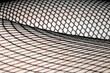 © squeebcreative - Close up of black fishnet tights on skin legs curves abstract background