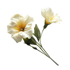 Wall Mural - Two delicate, creamy-yellow artificial flowers with green stems and leaves, isolated on a transparent background. background removed