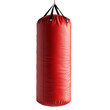 © Yunus - red boxing gloves isolated