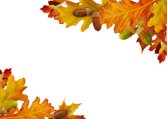 Wall Mural - red autumn leaves and acorns in corner arrangements isolated on white or transparent background.