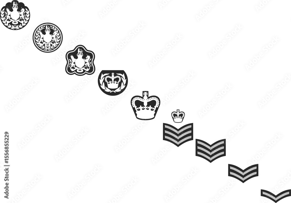 Army ranks from junior corporal to senior warrant officer, army rank ...