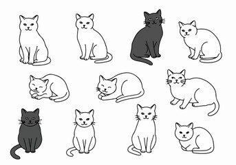  Cute hand-drawn illustration of various cats in different poses, including white and black feline friends.