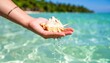 © Arief - Hand Holding Seashell With Water Splash On Tropical Beach