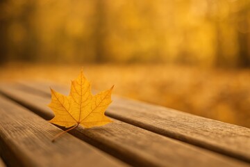 Wall Mural - A single yellow dried leaf rests on a bench with an autumn-themed blurred background and bokeh effect, featuring empty space for text.