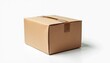 © Anastasia - A plain brown cardboard box with a leather strap on a white background. The box is closed and has a simple, minimalist design.