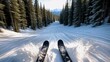 © Anita - First person view of a skier speeding down a snowy slope through a pine forest with snow spraying up on either side of the skis, creating a sense of speed and excitement