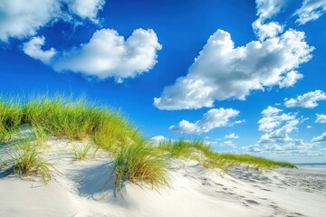Wall Mural - Relaxing day on a sandy beach with grass covered dunes under a bright blue sky, Sandy beach with grass covered dunes, blue sky, and white clouds