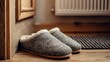 © Chingiz - Pair of home slippers placed neatly in house entryway