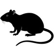 © ordgraphix - rat on a white background