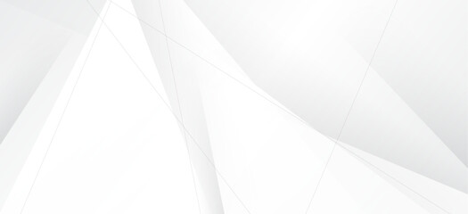Wall Mural - background abstract white color design. clean style template. line art texture graphic. layout poste