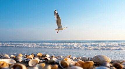 seagull soars above a sandy beach scattered with seashells under a clear blue sky and calm ocean wav
