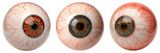 Set For Three realistic human eyeballs with different colors isolated on white