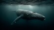© Loktor - Ballena jorobada bajo rayos de sol en aguas profundas, fotografía submarina de vida marina, Encuentro submarino con ballena jorobada iluminada por haces de luz oceánica