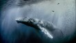 © Loktor - Ballena jorobada bajo rayos de sol en aguas profundas, fotografía submarina de vida marina, Encuentro submarino con ballena jorobada iluminada por haces de luz oceánica