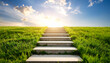 © hardvicore - Stone steps leading through green grass meadow to bright blue sky.