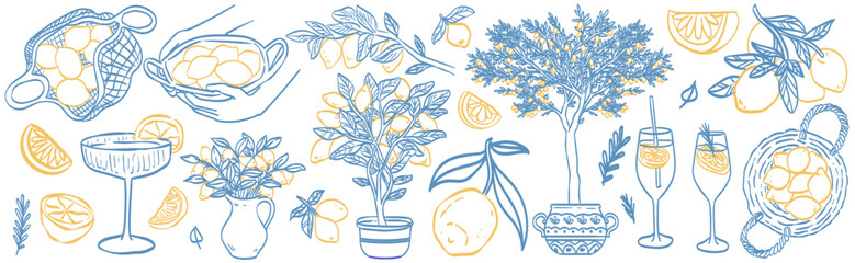 Lemon line vector drawing. Italian hand drawn doodle summer citrus fruit. Sketch lemon branch or tree in Mediterranean vase. Traditional lemonade cocktails. Amalfi or Sicily Italy coast illustration.