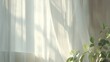 © mamemo - レースカーテン越しに差し込む光と観葉植物のある窓辺の写真