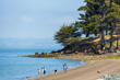 © Volodymyr - Coyote Point Recreation Area in San Mateo County features a peaceful shoreline with trees, rocks, and people walking by the calm waters of the San Francisco Bay on a sunny day