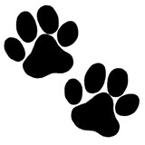 dog paw prints drawings
