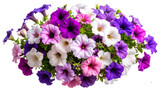 Top-Down View of Multi-Colored Petunia Bouquet, Isolated on Transparent Background
