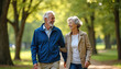 © miss irine - Happy senior couple walking in park, holding hands. Elderly man, woman smile, enjoy time together outdoors. Joyful retirement lifestyle, healthy relationship, love. Happy family, senior people,