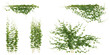 © Saifstock - Set of Rhynchosia creeper plants isolated on transparent background