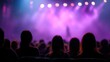 © Stephen - Audience viewing concert with purple stage lighting